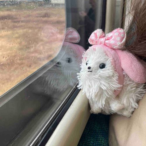 日本の車窓から〜ローカル線の旅🚃雨だけど☔️ちょこっとおでかけ🚶弁当もって車内で失礼します🍱
帰りは群馬名物、🐔鳥せんの鳥飯ᵍᵋᐪ( ᐛ )و鳥やわくてうまし🤤
