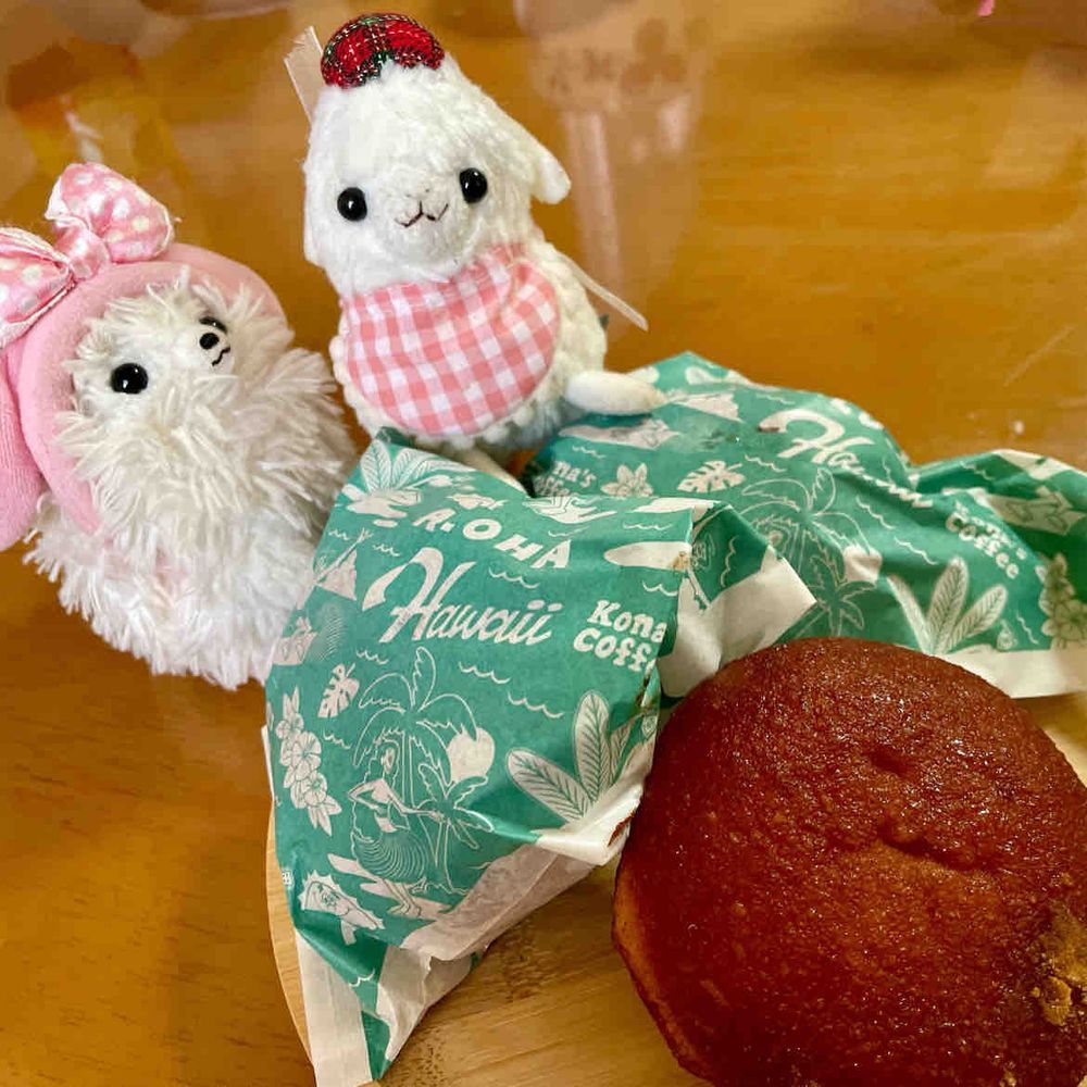 昨日はピカ&ポメチュウ⚡️で主にハワイに連れてってもらった🌴🤭コナズ珈琲でロコモコ食べた‼️帰りは道沿いの河津桜🌸まんかい🌸お土産はマラサダ！軽くて美味しい( ᐛ )ﾝﾏｯ