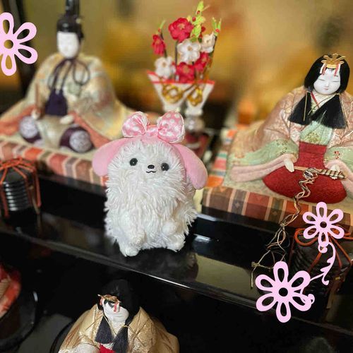 主、やっと出した🎎💦今年もみんなが元気に過ごせますように🙏簡単なサーモン寿司で桜餅もどきを食べようね(*ˊᵕˋ*)