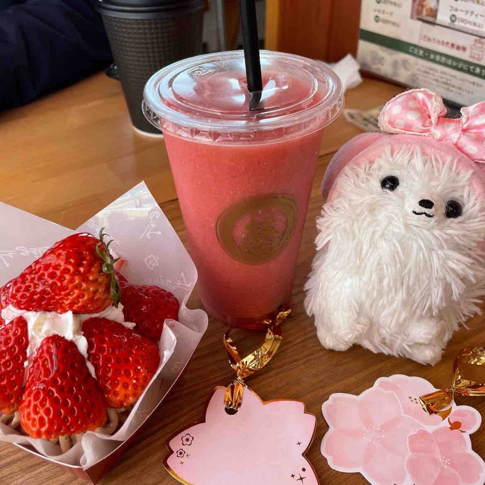 ふむふむ、この子はまだ青いぞ、頑張って大きくなぁれ！僕は食べごろ🍓でモンブランとスムージーをいただくよ(*ˊᵕˋ*)🌸のカードにお願い事書いてお店の🌸🌳を満開にするんだって‼️僕も参加〜φ(･ω･*)☆･ﾟ:*　