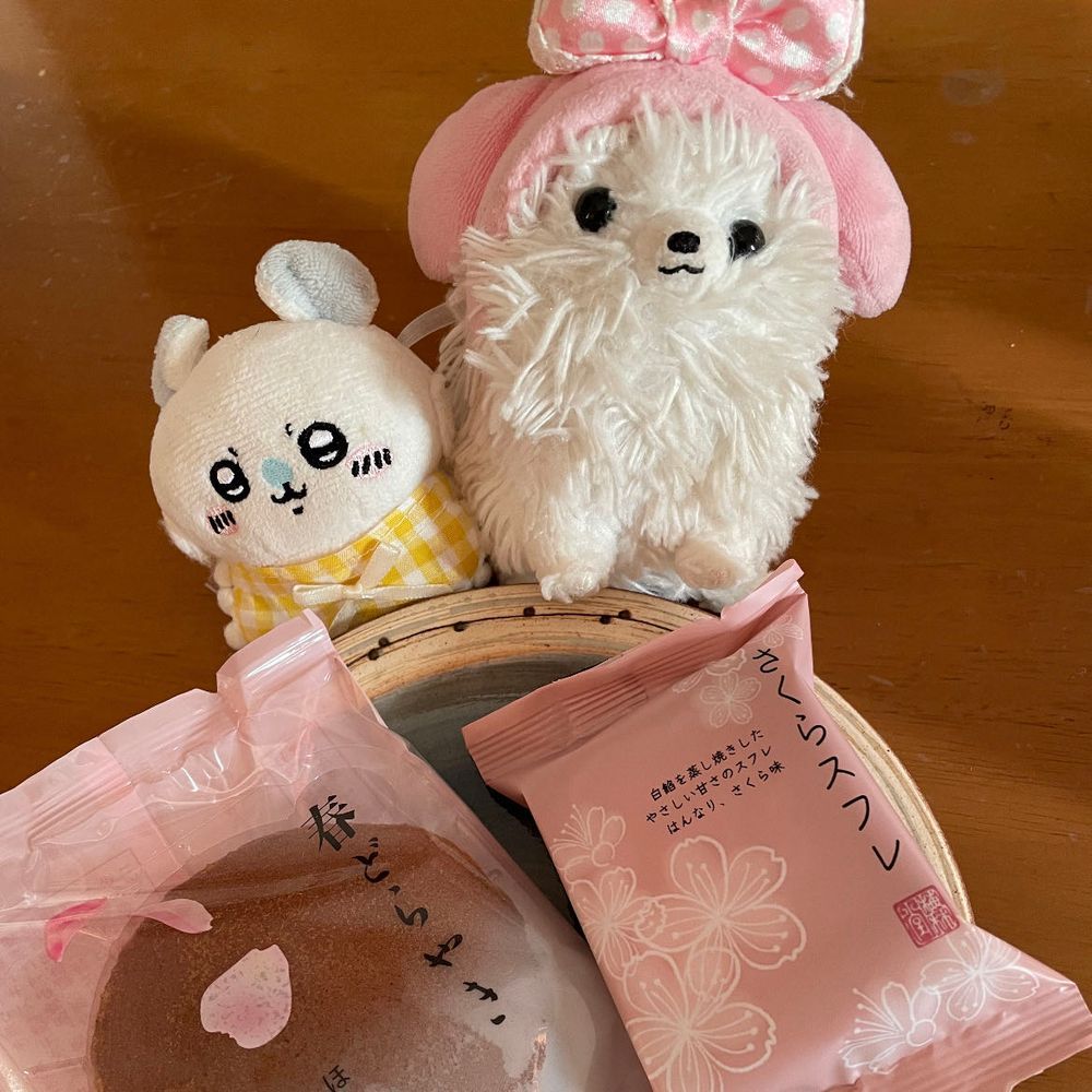 僕んとこも🌸チラホラ‼️でも花より団子ぜよ🍡その後く〇寿司へ〜ちょいとこれ、マグロアボカドチーズですけどちっちゃっ💦デザートに感動のプリンといちごパフェ食べた‼️僕は柔らかプリン派なので美味かったぞ🍮