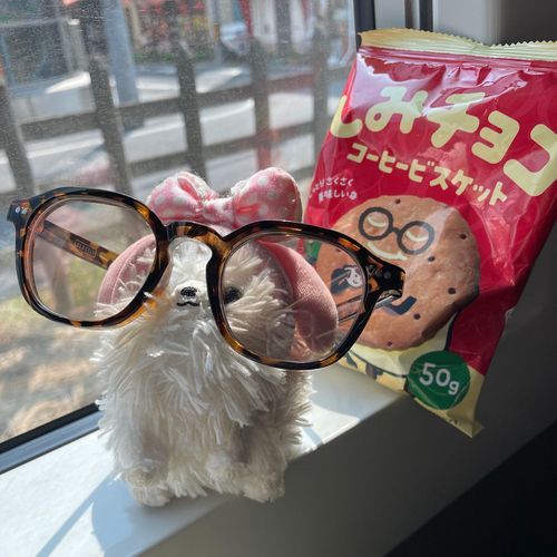 🚃でGO！眩しいのでグラサンしたぜ、ワイルドだろ〜😎このお菓子うまし🍪
場所は上野公園🌸2枚目の松、枝がまんまるその名も月の松🌕🌲( ˶°◻︎°˶)ヘビ人間もいたぞ(⊙⊙)!!上野は人人人…🌸も満開ですごかった🍻🏮