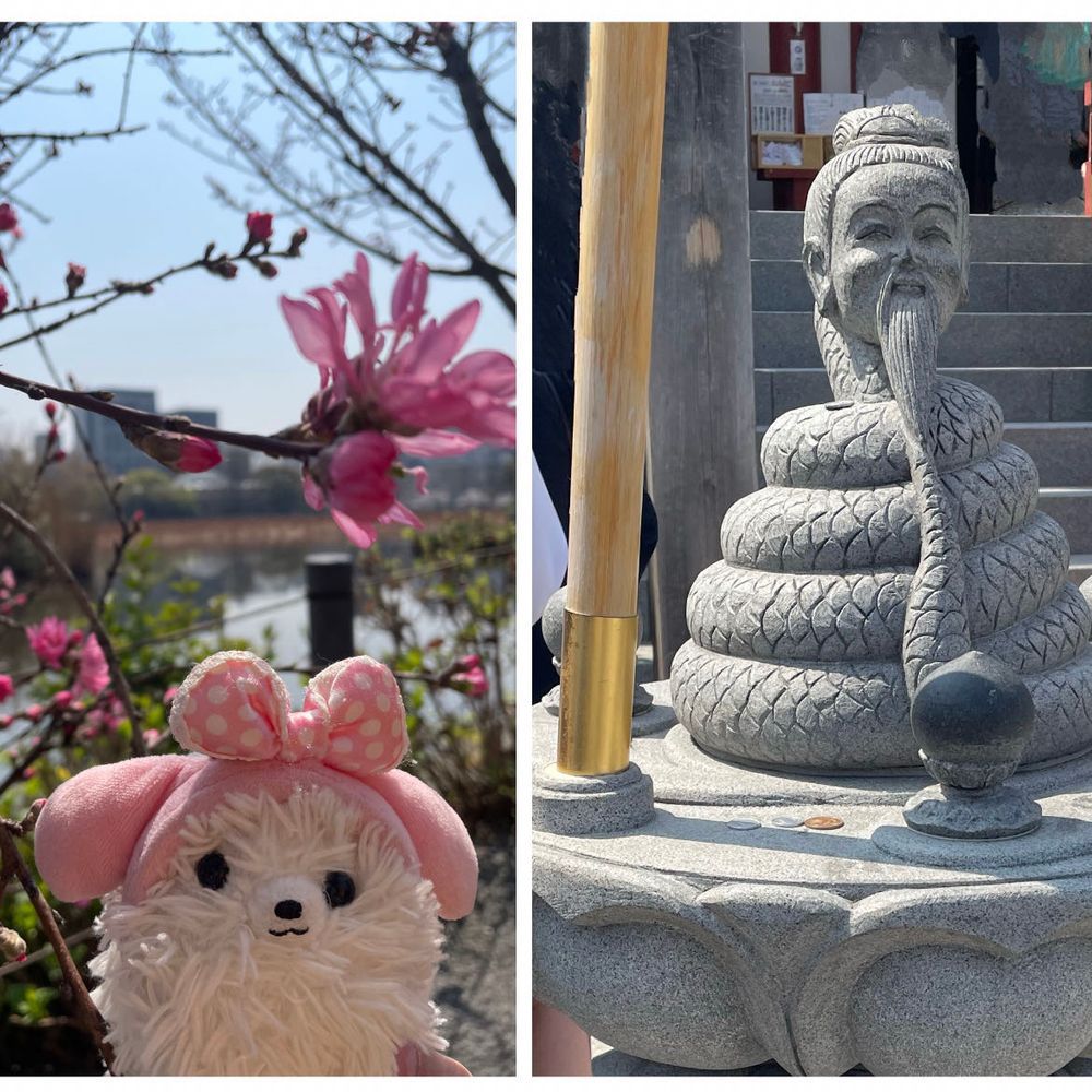 🚃でGO！眩しいのでグラサンしたぜ、ワイルドだろ〜😎このお菓子うまし🍪
場所は上野公園🌸2枚目の松、枝がまんまるその名も月の松🌕🌲( ˶°◻︎°˶)ヘビ人間もいたぞ(⊙⊙)!!上野は人人人…🌸も満開ですごかった🍻🏮