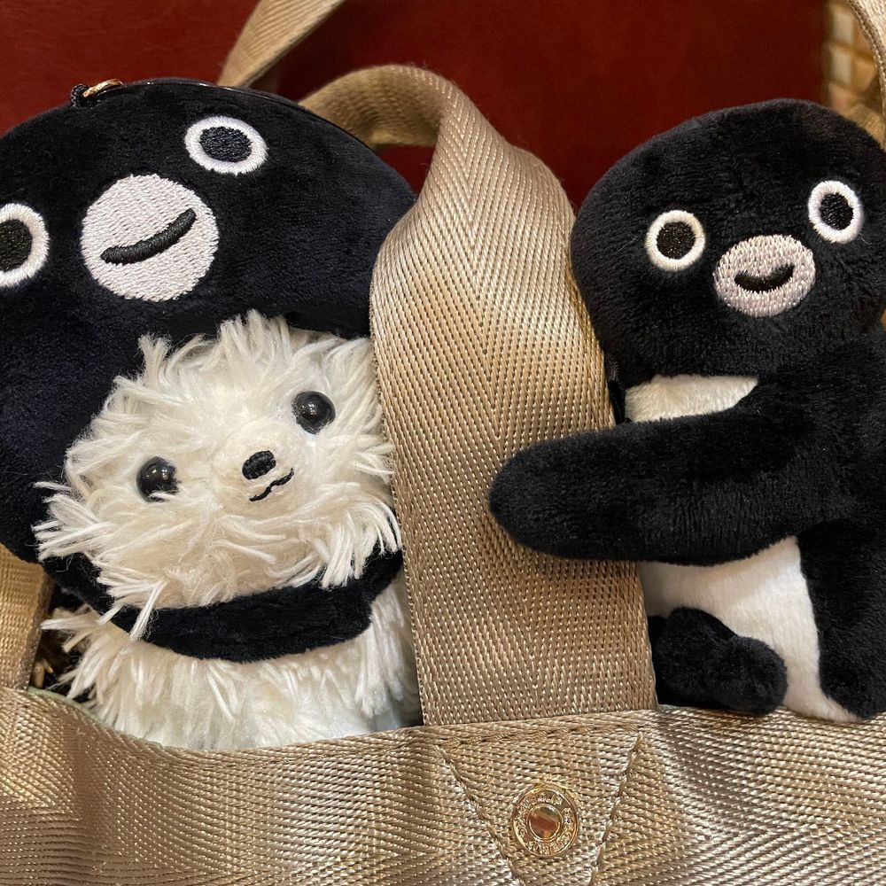 こんにちは！ぼくSuicaペンギンだよ！よろしくね✋嘘〜ポメたんです‼️皆騙された❓駅中でペンスタ発見した主、迷わずSuicaペンギンと巾着をGET(σ´∀`)σ可愛すぎるんだが(♡ｰ♡)主いわく、来年で卒業なんて嫌だ😫後継なんていらないんだ‼️