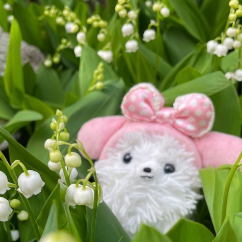 こんにちは！すずらんの妖精です🧚‍♀️💫一斉に咲き始めたポメ家のすずらん‼️毎年すごい勢いで咲いてくれます( * ॑꒳ ॑*)