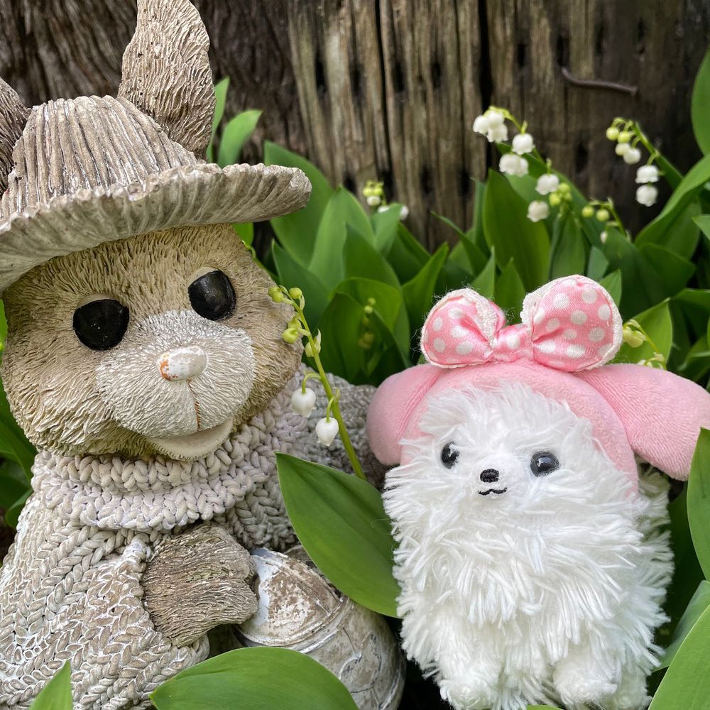 こんにちは！すずらんの妖精です🧚‍♀️💫一斉に咲き始めたポメ家のすずらん‼️毎年すごい勢いで咲いてくれます( * ॑꒳ ॑*)