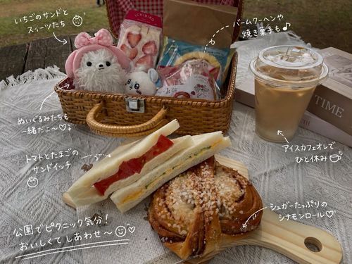 僕もふわもこのお友達みたいなやつAIさんに作ってもらった！これは公園でご飯食べた時の写真、ほぼ当たってる🤣