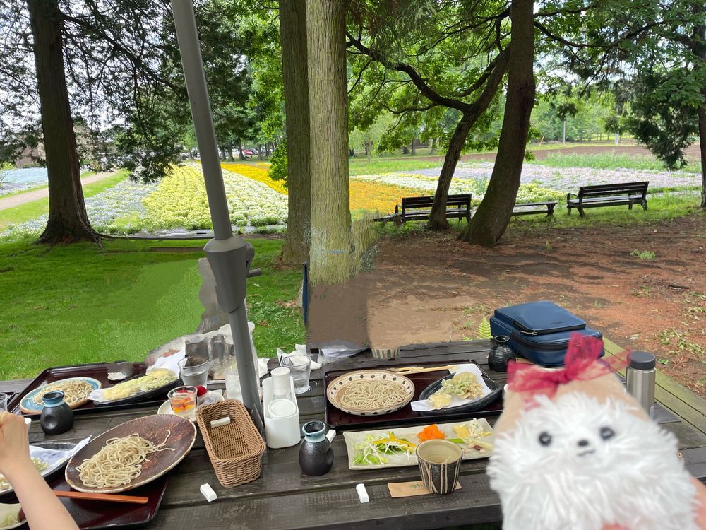 お蕎麦を食べに1時間ほど🚗³₃ネモフィラがすごい🩵ステキな花を見ながらそばを満喫‼️テラス席で軽井沢気分(ღ*ˇ ˇ*)｡o♡帰りにいちご狩りも行ったぞー😋🍓⸝⸝꙳