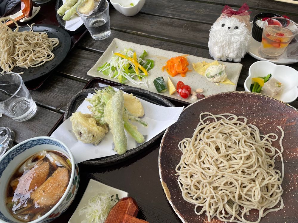 お蕎麦を食べに1時間ほど🚗³₃ネモフィラがすごい🩵ステキな花を見ながらそばを満喫‼️テラス席で軽井沢気分(ღ*ˇ ˇ*)｡o♡帰りにいちご狩りも行ったぞー😋🍓⸝⸝꙳