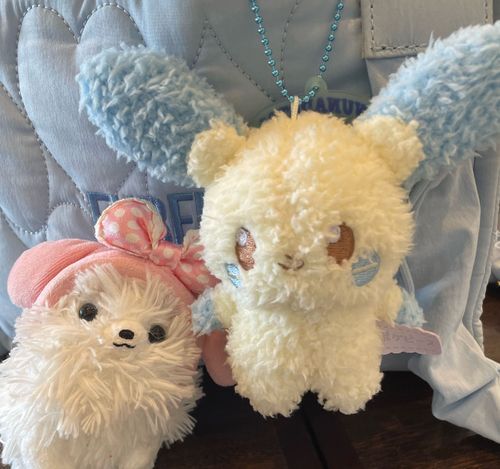 毎日☔️や曇りでお家ばかり‥
最近きたおねいちゃんの相棒マイナン、かわいいなぁ♡
固いモモも来た！しっぽデカイなぁ😳モモがちっさいのか❓
