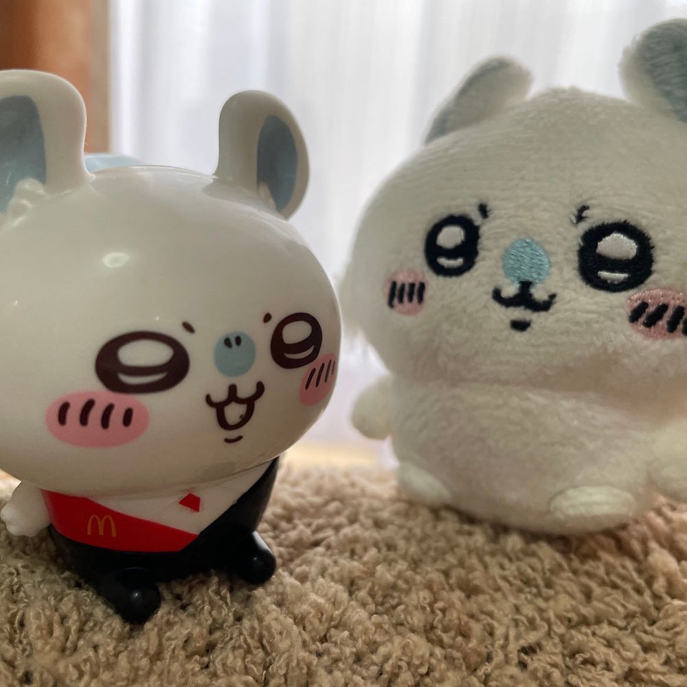 毎日☔️や曇りでお家ばかり‥
最近きたおねいちゃんの相棒マイナン、かわいいなぁ♡
固いモモも来た！しっぽデカイなぁ😳モモがちっさいのか❓
