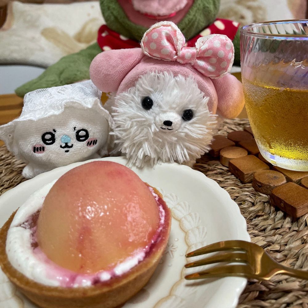 皆連休は楽しく過ごしたかな❓僕は引きこもり😆ふわもこのお友達、くま太郎君が食べてたローソンの桃のタルト🍑食べた❗️めちゃうまだったぞ😋舌のオペした長老にもあげたぞ😊夜ちょっと出かけてお祭り見てきた🏮圧巻だった〜✨