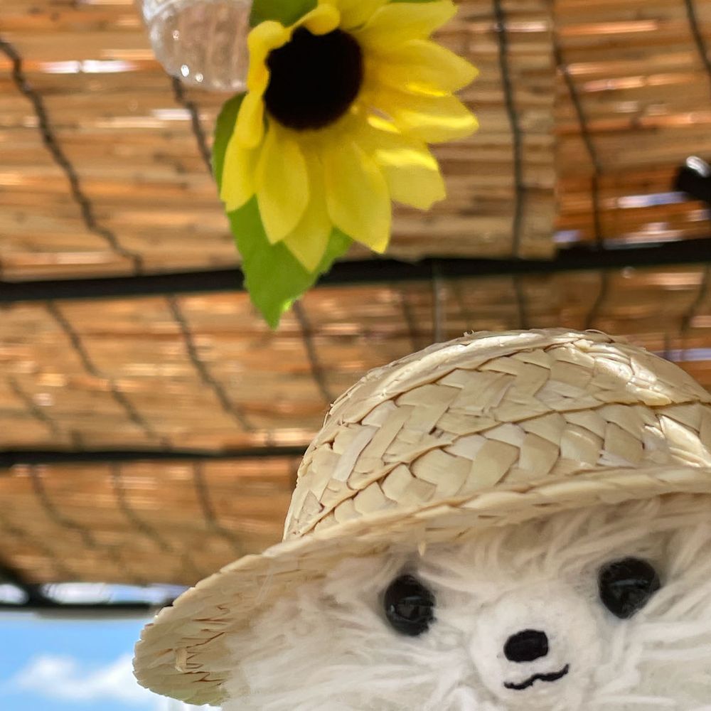 溶けそうな体を引きずりひまわり🌻見てきた‼️少し🌻ぐったり気味だったけど広大なひまわり畑に夏を感じた僕。もちろん帰りは🍦で(*ˊ˘ˋ*)｡♪:*°〆疲れ顔🤣