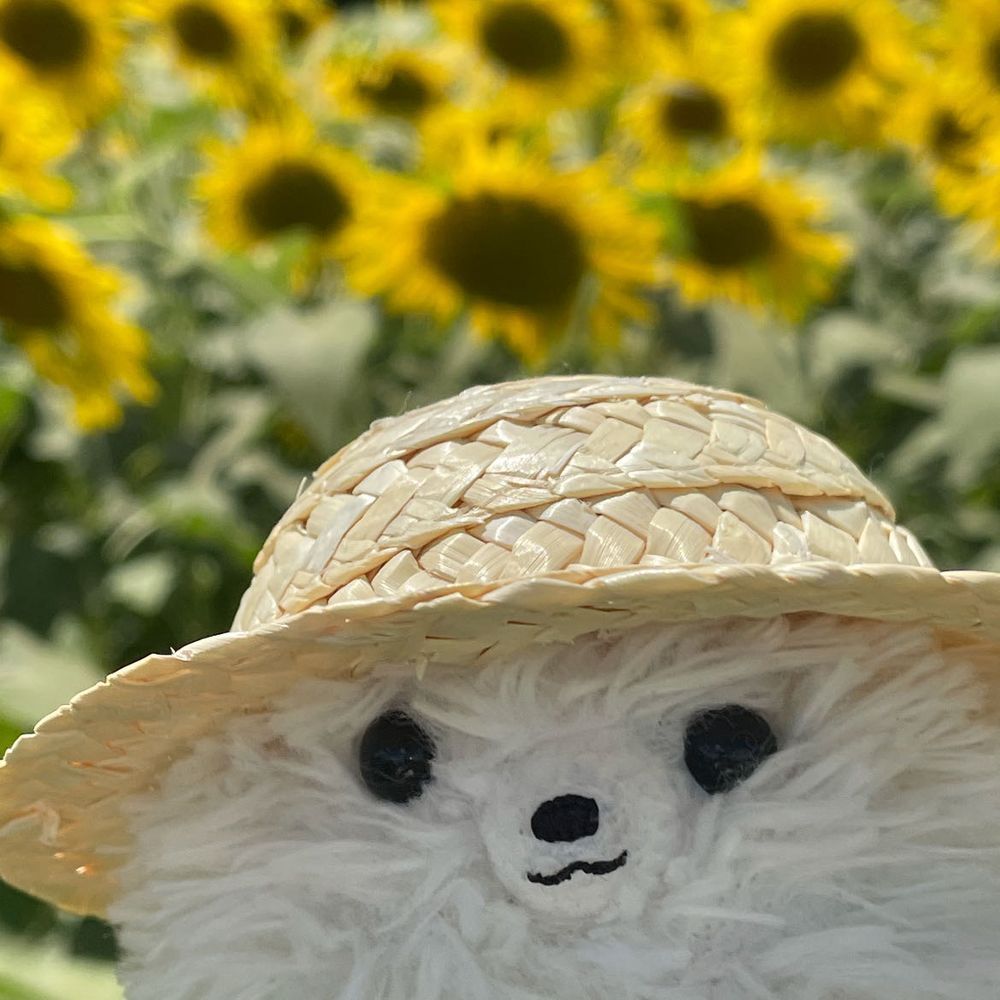 溶けそうな体を引きずりひまわり🌻見てきた‼️少し🌻ぐったり気味だったけど広大なひまわり畑に夏を感じた僕。もちろん帰りは🍦で(*ˊ˘ˋ*)｡♪:*°〆疲れ顔🤣