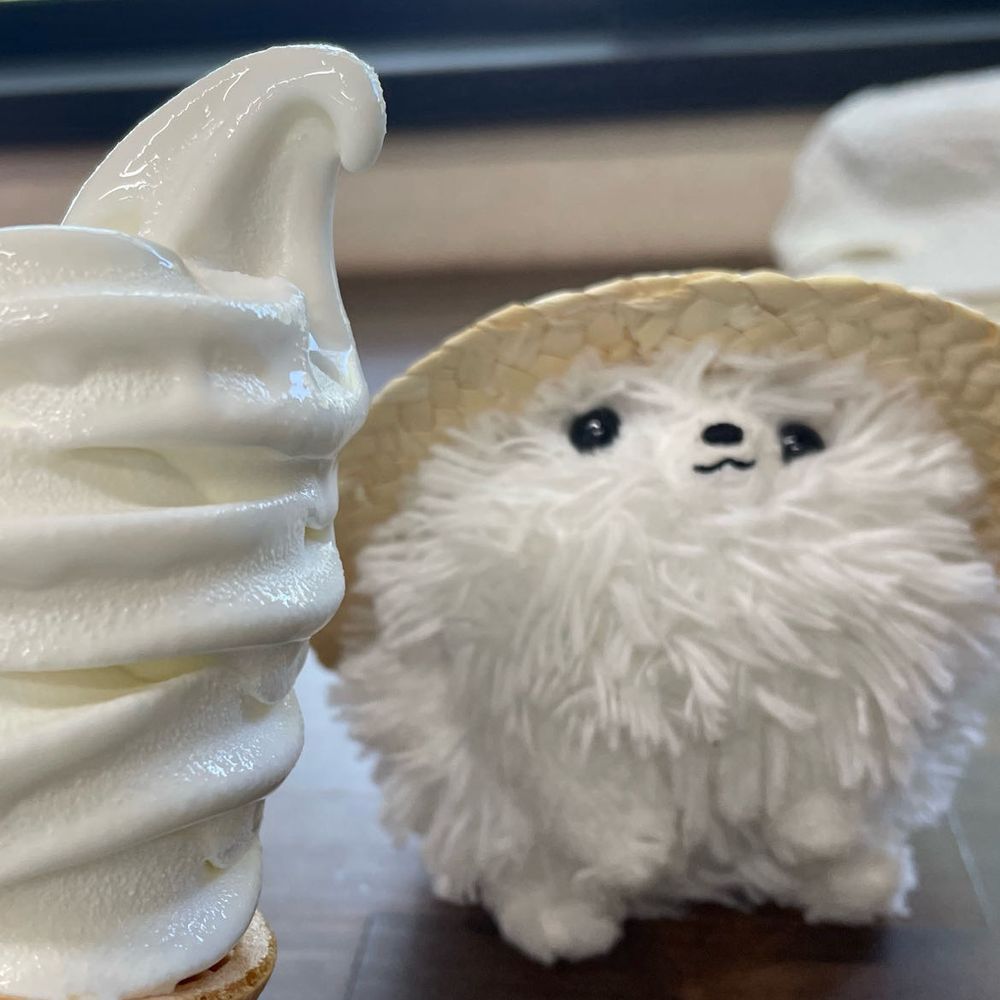 溶けそうな体を引きずりひまわり🌻見てきた‼️少し🌻ぐったり気味だったけど広大なひまわり畑に夏を感じた僕。もちろん帰りは🍦で(*ˊ˘ˋ*)｡♪:*°〆疲れ顔🤣