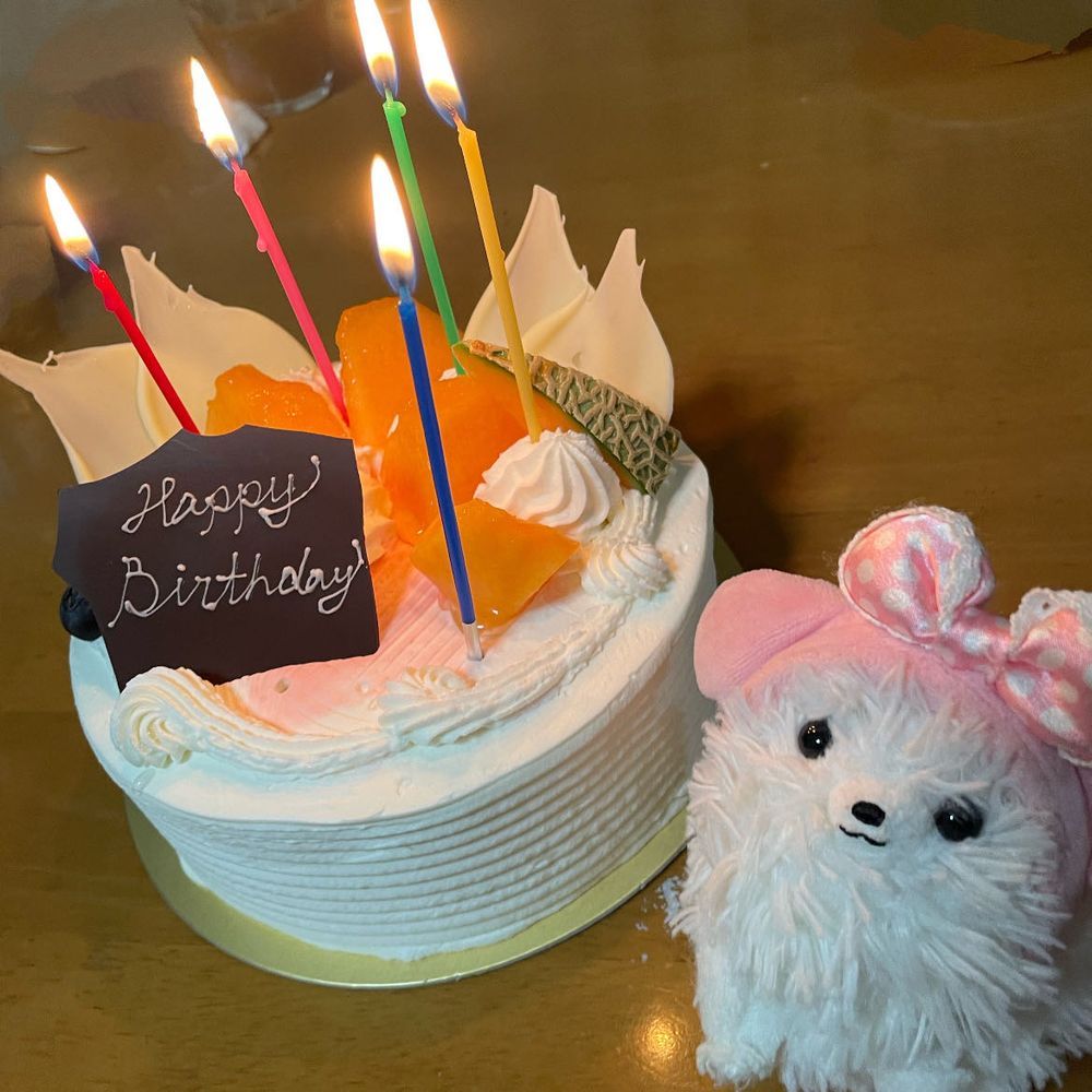 雨続きのポメ家界隈☔️昨日は牛タンの日だったらしい❗️コレは主ツレの誕生日に皆で🎁した牛タンケーキ🐮&メロンケーキ🎂!ツレの好物をあげた❗️僕らもご相伴にあずかる🫶うまし〜⸜(*' '* )⸝✨