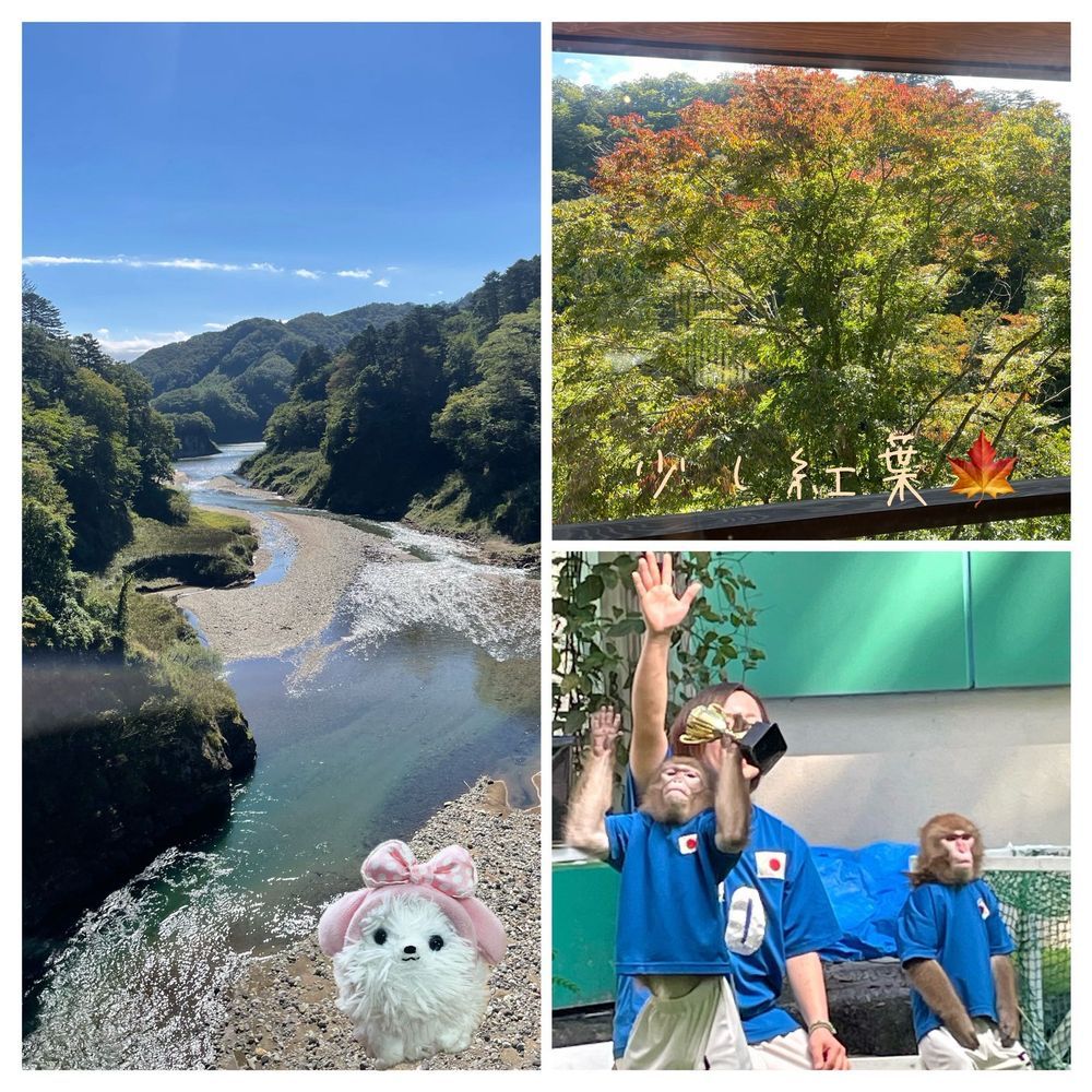 旅行🚗³₃行ったぞ〜天気に恵まれて☀️最高🤘🏻2枚目は吊り橋からの眺め！危ない為僕は合成〜猿ランドでお猿さんの活躍に👏温泉に牛すきヽ(*ᐛ*)ﾉｻｲｺｳ!!旅行投稿To Be Continued