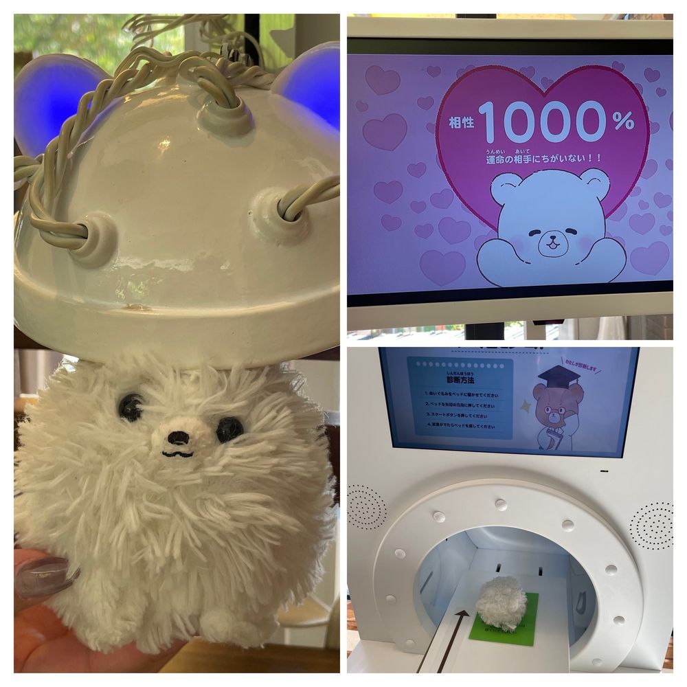ポメ旅編✌️テディベアミュージアム行ったぞ！ポメを探せ🔎難易度2🤣僕と主の相性診断があったので僕はヤバそうな機械に入った💦でも見て！相性1,000%だったぜ👏たくさんの🧸さんに会えたし、トトロやカナヘイさんともコラボしてて楽しかったぞ⸜(*ˊᗜˋ*)⸝