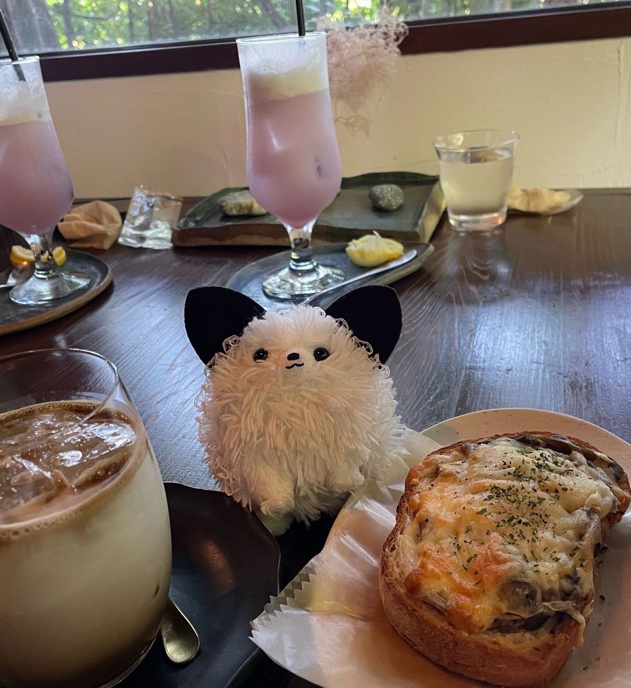 今日は☔️寒いくらいのポメ地域💦主がハロウィン飾りを作ったぞ！秋の古民家カフェ、ほうじ茶ラテが美味しかった🤤庭のテラスにかりん❓食べれる❓