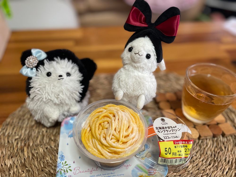 川沿いにコスモス❣️僕くらいの大きさのお花！色とりどり‎🤍🩷帰りファミマでカボチャモンブランに🈹シール貼ってた現場を目撃、すぐ手にとったぞ😆アルルにお土産！っとモモも来たー( ´•ᴗ•ก )💦皆で仲良くね♡