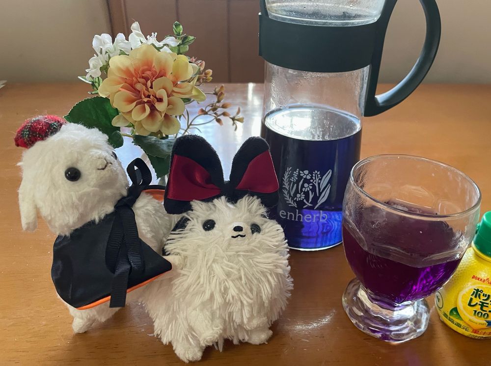 👻🎃HappyHalloween🎃👻
2枚目は💙→💜へ🍋入れると色が変わる不思議な飲み物、バタフライピー！チョウマメっていう青い花のハーブティー。あまり味は無いかな😆でもストレスや血糖値上昇を抑える効果があるみたいだぞ👊
