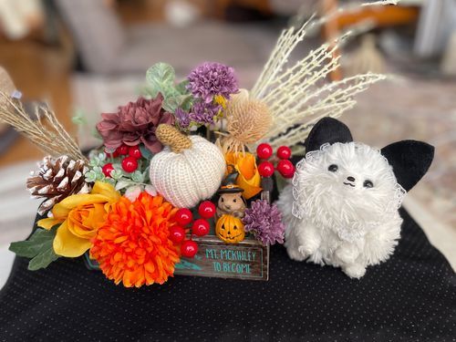 今日は☔️寒いくらいのポメ地域💦主がハロウィン飾りを作ったぞ！秋の古民家カフェ、ほうじ茶ラテが美味しかった🤤庭のテラスにかりん❓食べれる❓