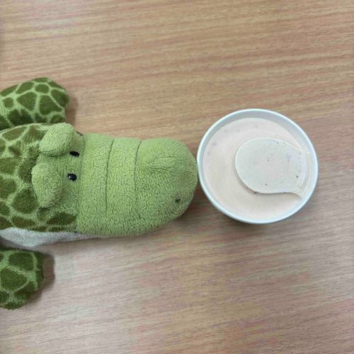 これは「はーげんだっつ」というあいすなのだ
うまいのだ
