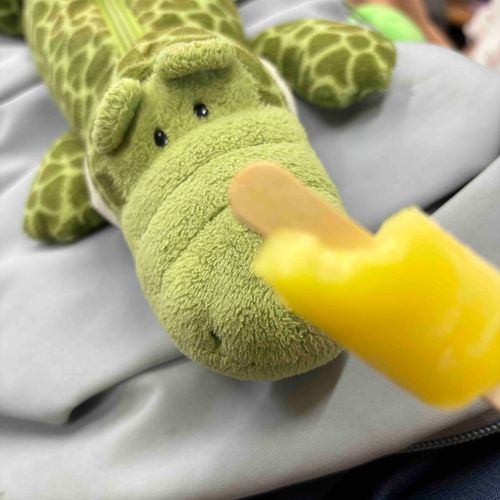 おい　こぶん
わるいこと　ゆわないから
はやくあいす　よこすのだ
