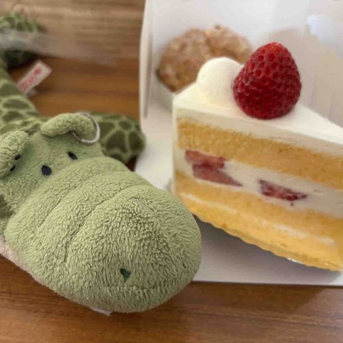 けーきなのだ！こぶんはやくあーんして！