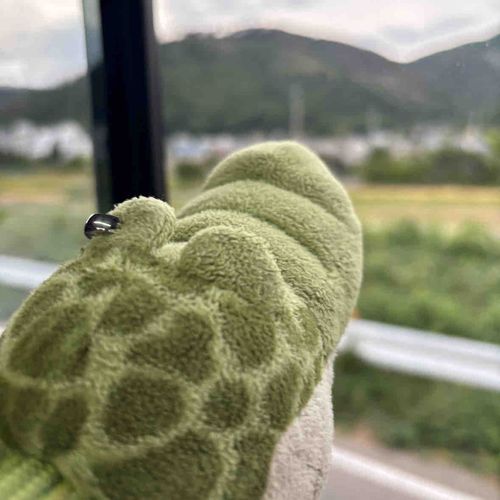 こぶんと「ながのけん」ってところにきたのだ
すずしくてきもちいのだ〜
