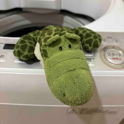 え あの おいらこれはいるのだ？
おいらしってるのだ これぐるぐるするのだ
こぶんもいっしょがいいのだ…