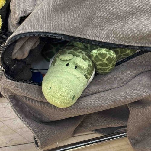 　　　　　　　　╱ よっ！ ╲