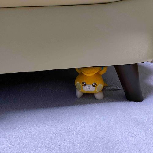 パモさんかくれんぼ？💭
