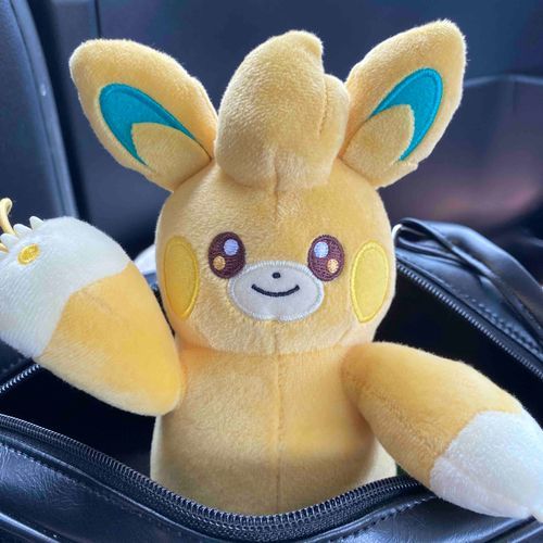 ✋🏻