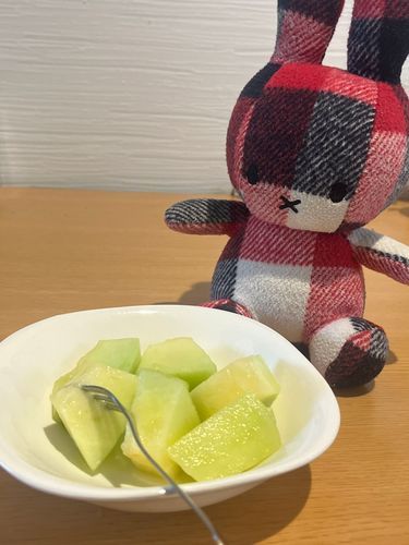 メロンをたべるよ🍈