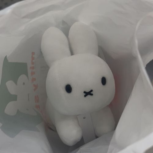 ちょっと前に家族がふえたよ🏠