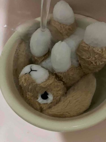 手洗いされたよ
