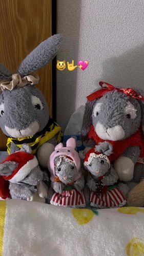 初出勤頑張った😼🤟💖
明日も頑張る🤯
