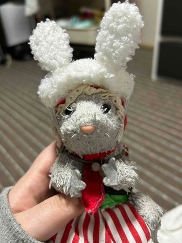 マウスだけど今日だけうさぎ🐰