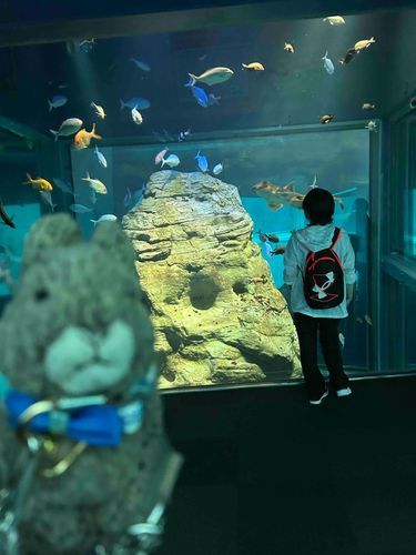 今日も楽しかった🐠✨
海遊館いってきたよーー😼