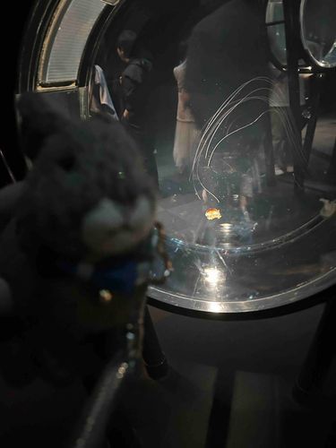 水族館大好きだからまたすぐ行きたいな°･🐠
次はどこの水族館行こうかな✊