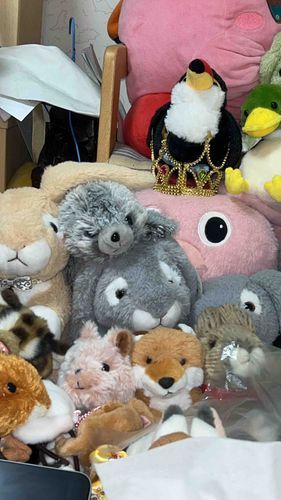 新入り！とろちゃんの周りにいっぱいいる