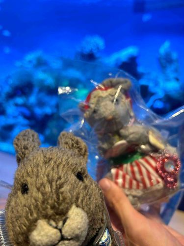 水族館めっちゃキレイだった°･🐠
でも暑かった🥵🥵
熱中症気をつけて(ˊo̴̶̷̤  ̫ o̴̶̷̤ˋ)