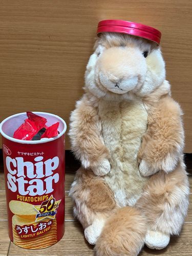 しげちゃん‼️チップスターの箱を帽子にしてる🤣