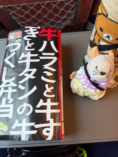 今日は旅行🚃
駅弁も一緒に食べたよー🐄⸒⸒