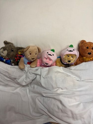 旅館のフカフカお布団で寝たよー‎(🫵🏻 ᴖ ̫ ᴖ)💕🎵
もうこんにちはの時間だね⏱ ̖́