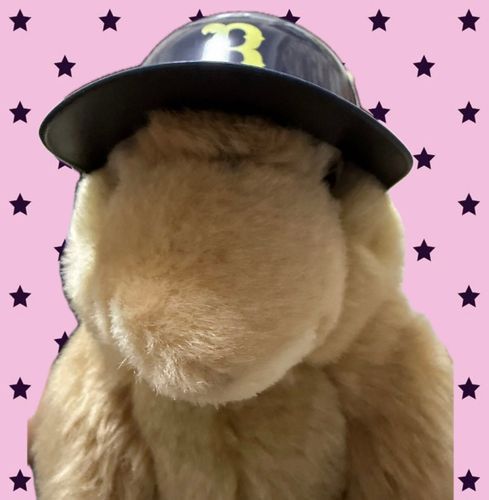 しげちゃんオリックスの選手になっちゃった‼️