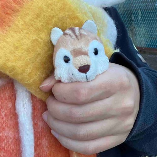 にんげんに　つかまった　フガッ