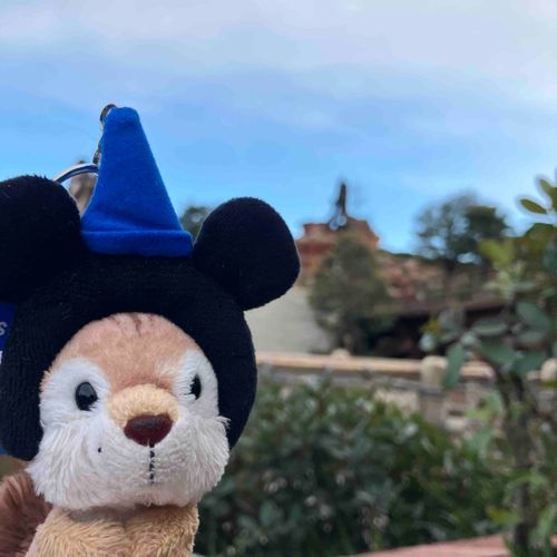 ディズニー　というところ　きました。
チップと　デール　じゃないですよ。　しまです。