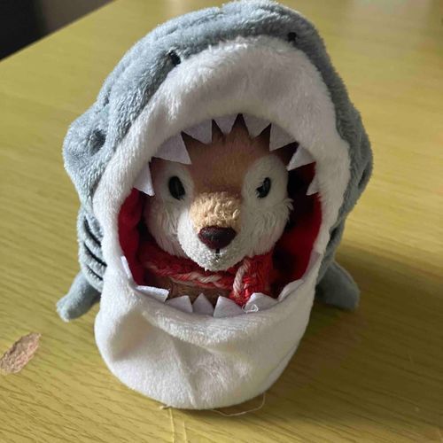 サメです。　つよいですか❓
はがいたいです。
